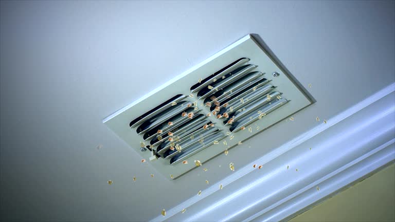 Best Professional Duct Cleaning Services  in Port Barre, LA