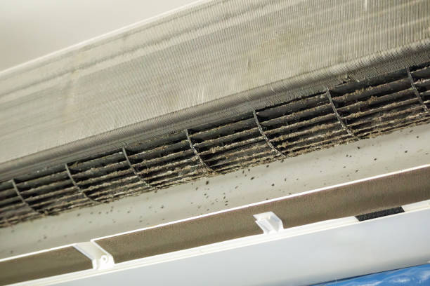 Best Duct Cleaning Specialists  in Port Barre, LA
